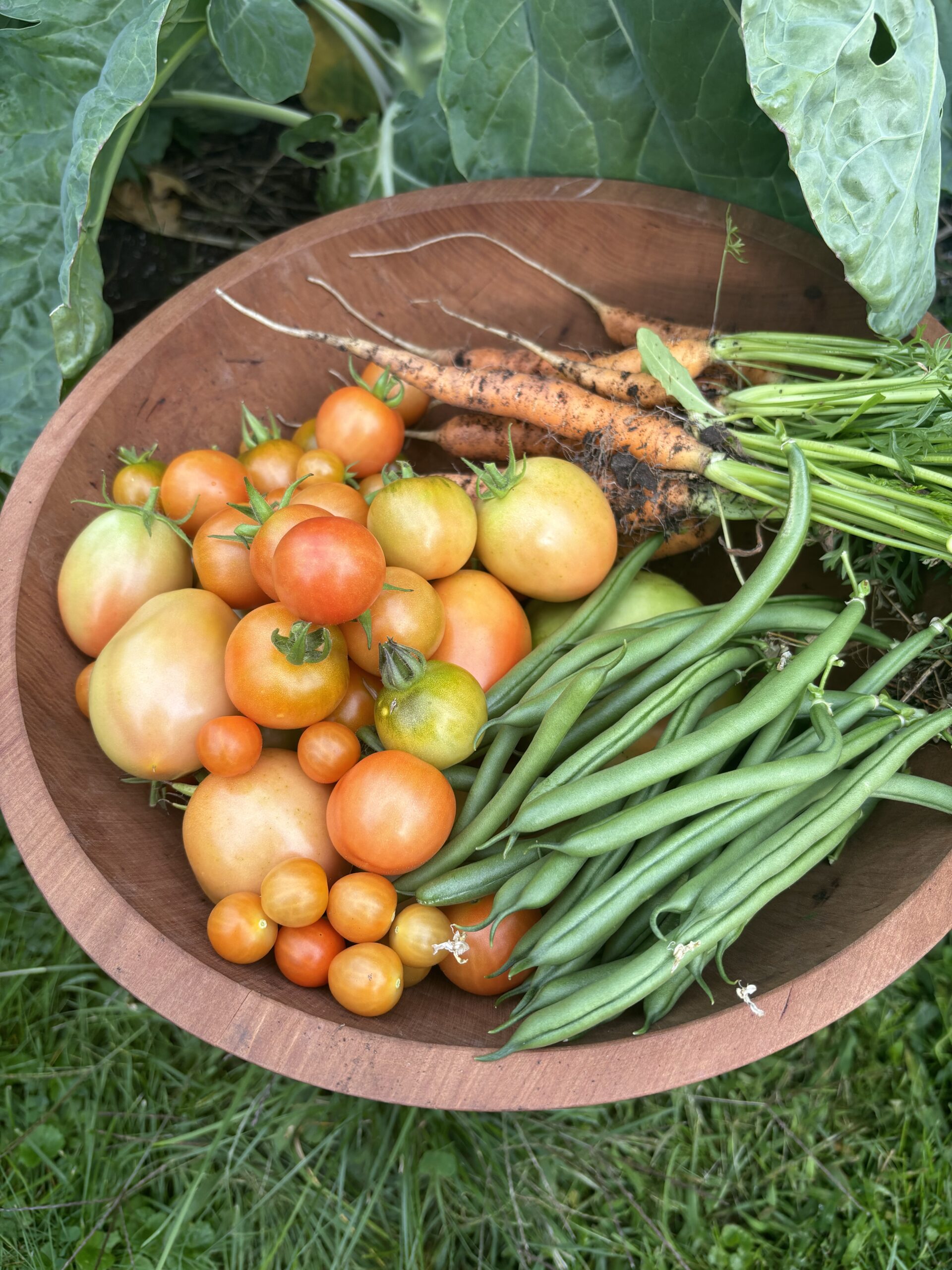 nos produits, paniers de légumes, activités cuisine