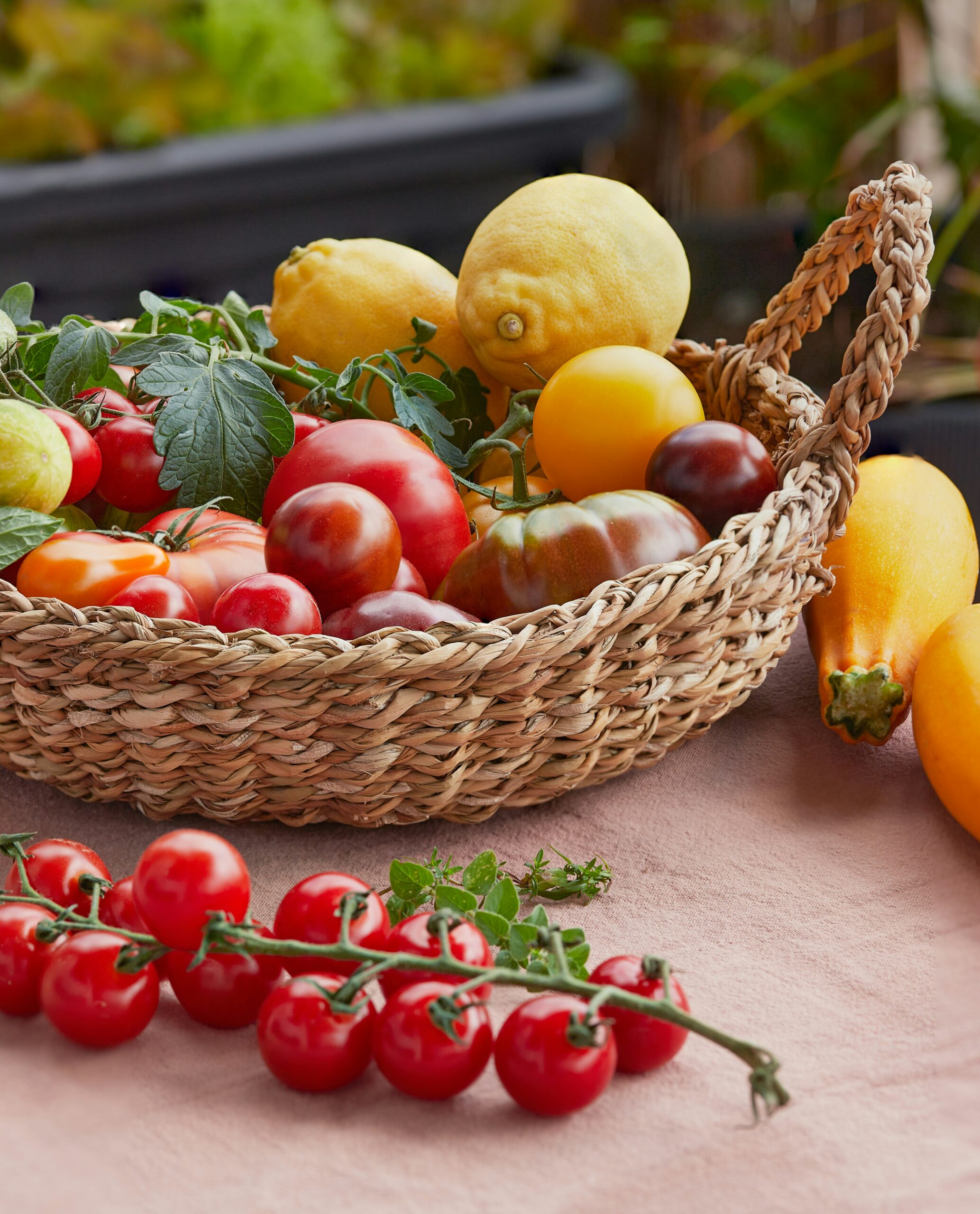 Petit Panier (pour 1-2 personnes)